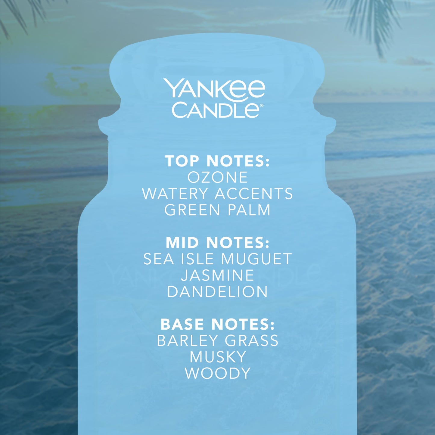 Yankee Candle Scented Candle | Beach Escape Large Jar | Long Burning Candles: up to 150 Hours | Perfect Gifts for Women