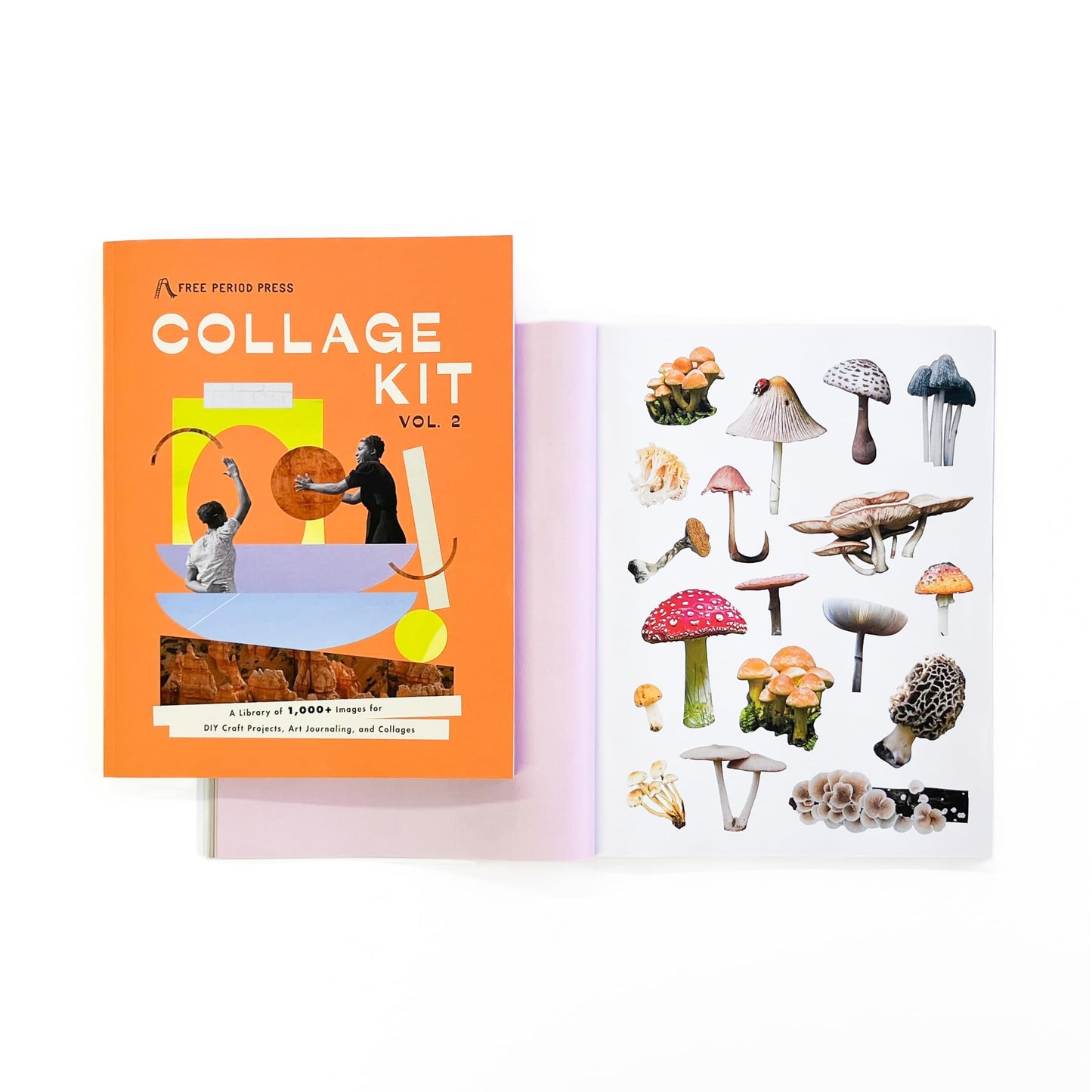 Collage Kit Vol. 2: 1000+ Images for Junk Journaling, Vision Boarding & DIY Crafts | 230-Page Creative Magazine with Perforated Pages, Prompts & Art Inspiration for Beginners & Pros (Volume 2)