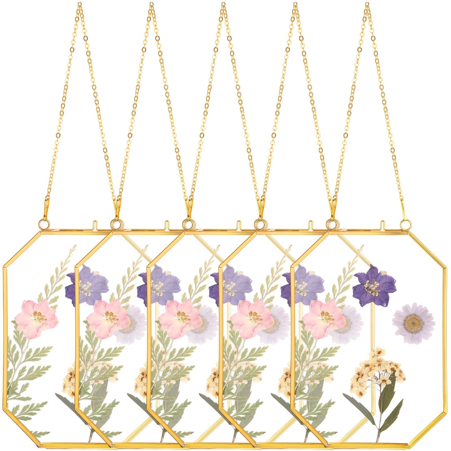 Vicenpal 6 Pcs 5 x 7 Inch Pressed Flower Frames Bulk, Floating Wall Hanging Double Glass Picture Frames with Metal Chain for Display Gallery Dried Plant Wedding Gifts for Mom Friends DIY Handy Craft