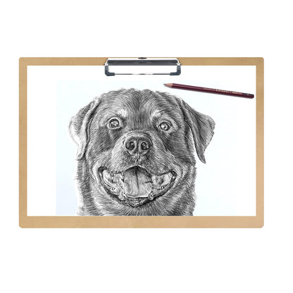 Acocony 11x17 Clipboard Landscape Extra Large Clipboard Hardboard Low Profile Clip 11 x 17 Clipping Board MDF Pack of 1