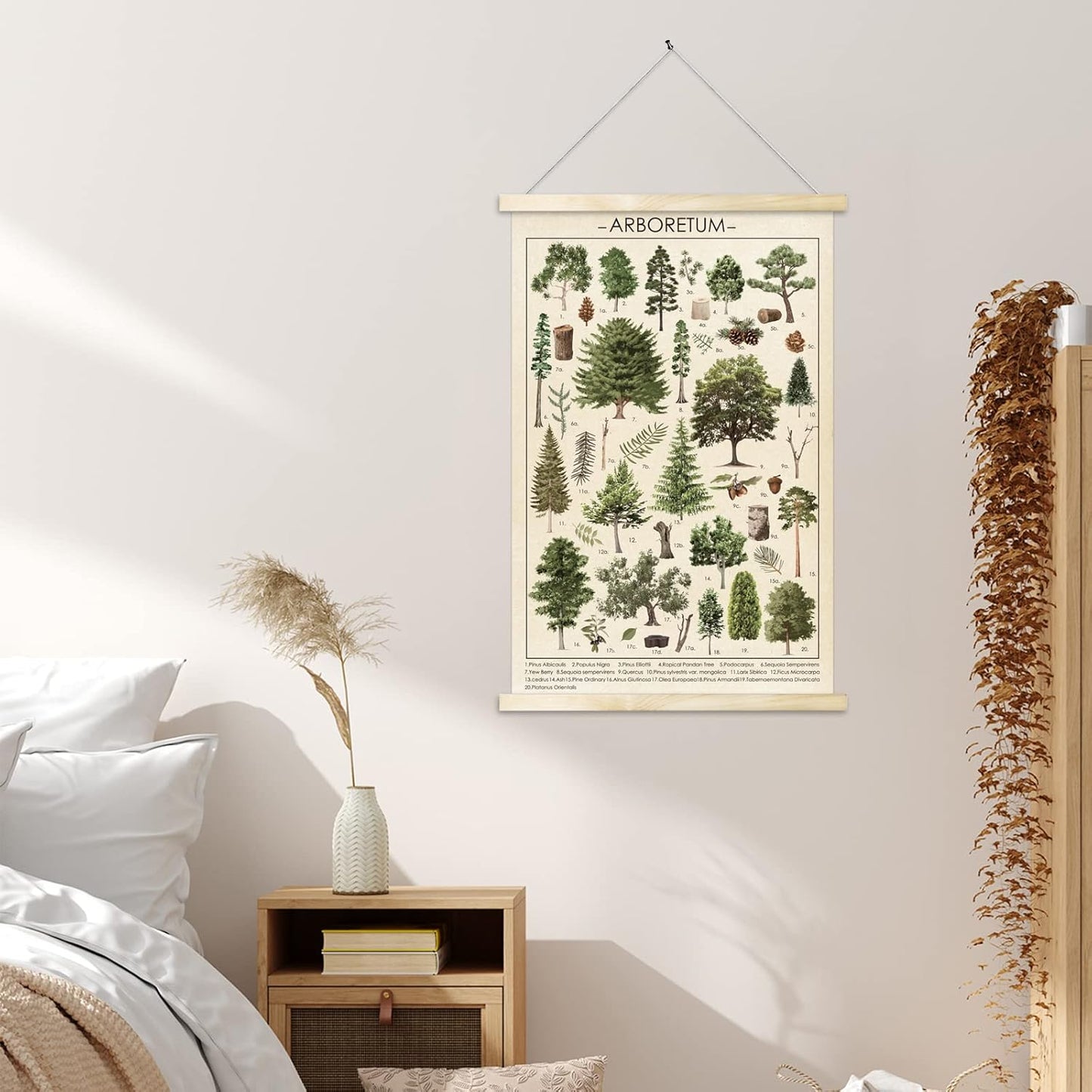Tevxj Vintage Tree Poster Plant Wall Art Prints, Rustic Style Arboretum Wall Hanging Illustrative Reference Chart for