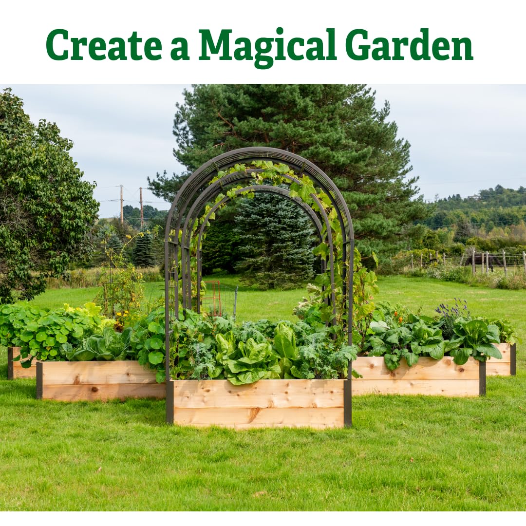 Gardener’s Supply Company Arch Trellis | Garden Arbor fits 2' x 4' Elevated Planter Boxes for Climbing Plants, Vegetables and Flowers | Decorative Outdoor Gardening Landscape