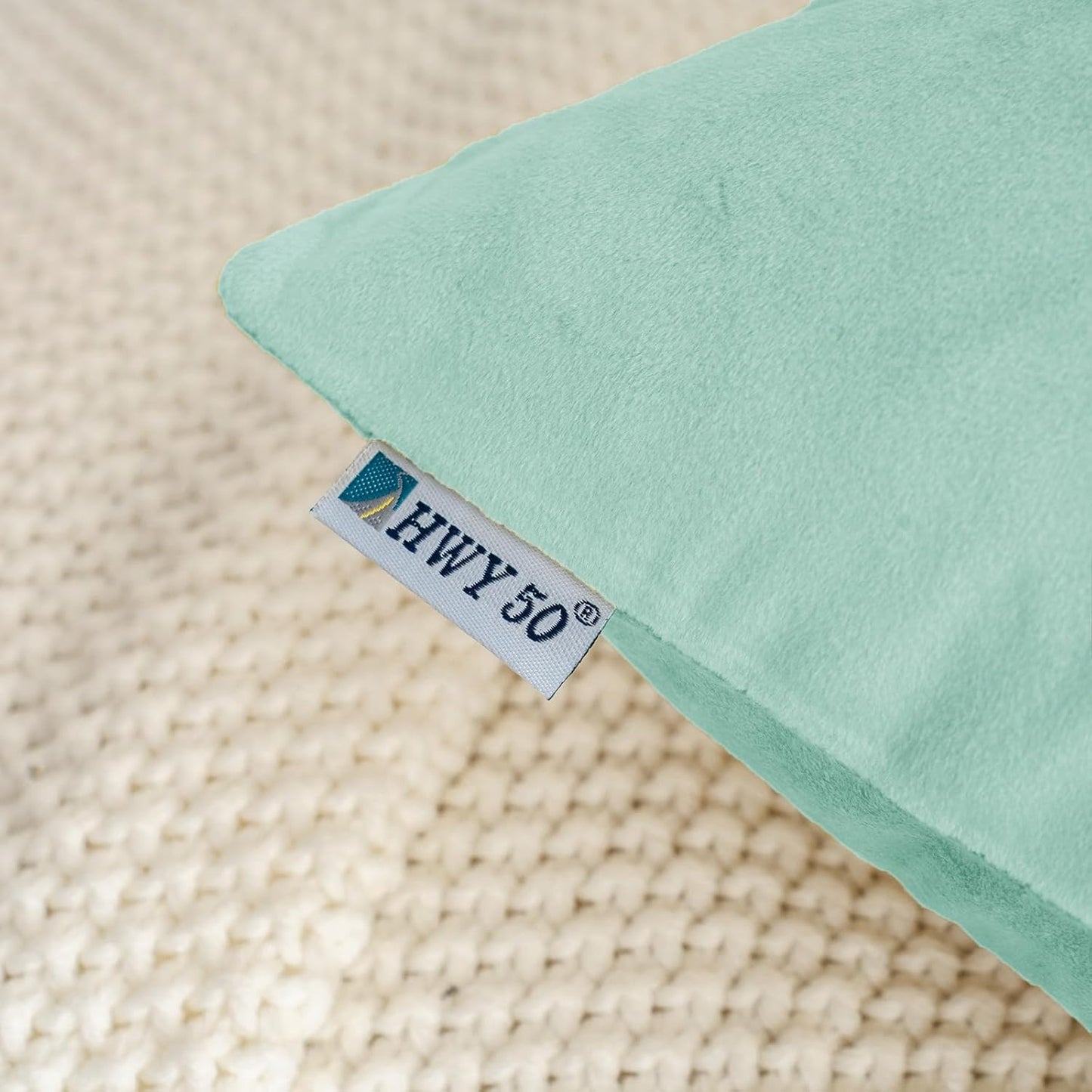 HWY 50 Aqua Green Velvet Throw Pillow Covers 20x20 Inch, Pack of 2 Soft Cozy Solid Decorative Cushion Cases for Couch