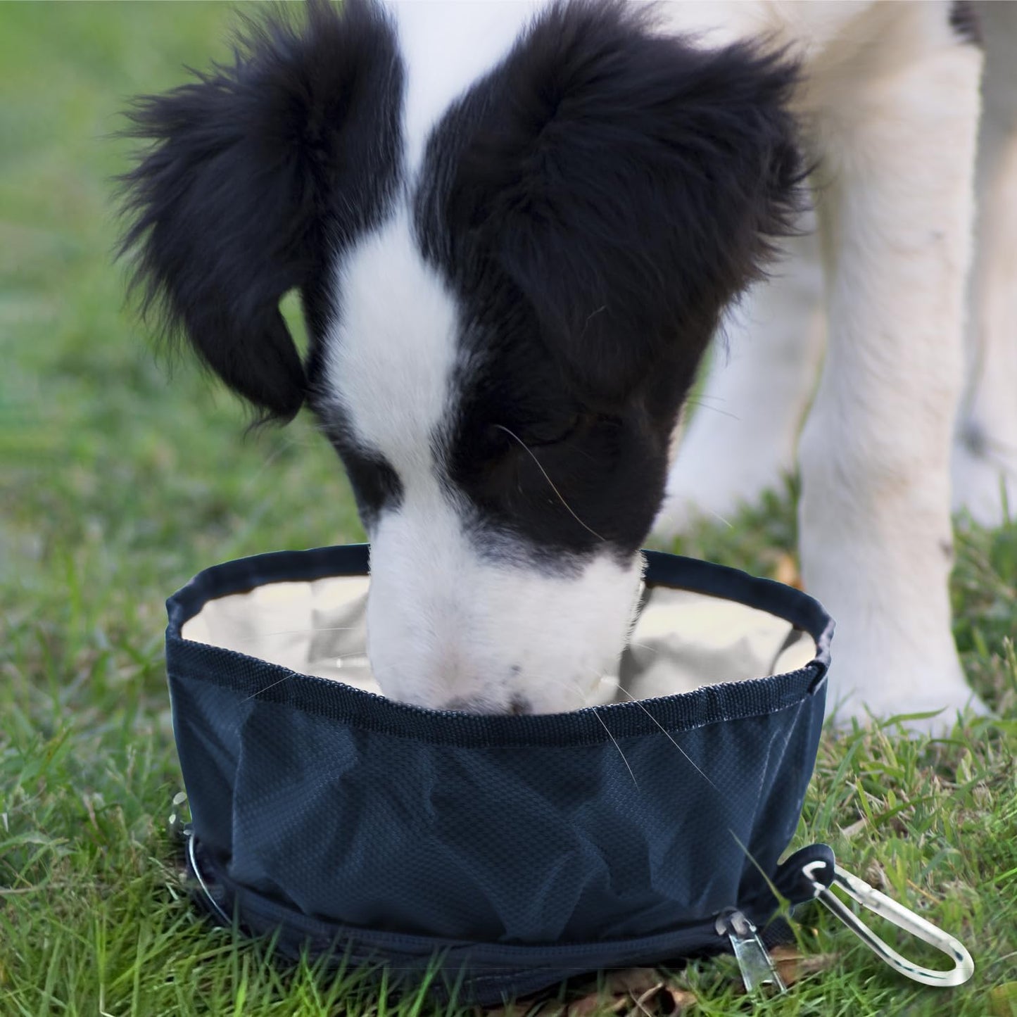 LumoLeaf Collapsible Dog Travel Bowl, 2 Packs Large 68oz/80oz Lightweight Foldable Bowl, Water and Food Bowls for Pets Dogs Cats with Zipper (8+10 Cups)