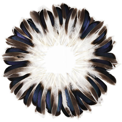 FeelfunFeather 240pcs Duck Feathers 4-6 inch Natural Feather Bulk for Craft Wedding Home Party Costumes Decoration