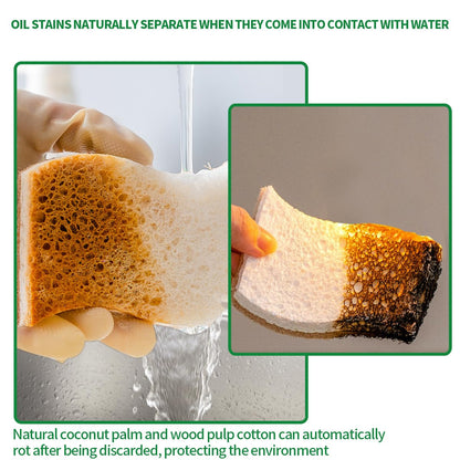 Sponges Kitchen Natural Dish Sponge Plant-Based Biodegradable Compostable Cellulose with Coconut Scrubber Sponge Non Scratch Eco Friendly Kitchen sponges for Kitchen Dishes（Pack of 12）