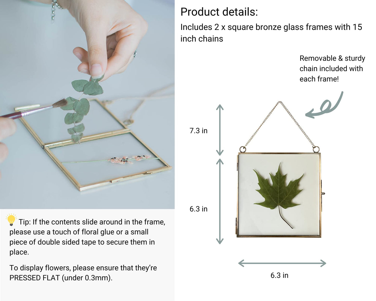 Beedecor Glass Frame for Pressed Flowers, Leaf and Artwork - Hanging Square Metal Picture Frames, Clear Double Glass Floating Frame, Wall Decor Photo Display, Set of 2 Flower Press Frames with Chain
