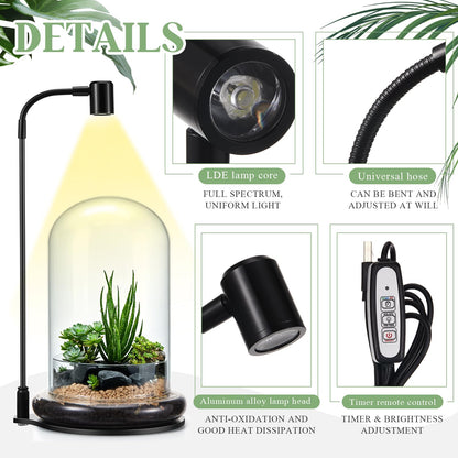 Maxdot Plant Terrarium Kit with Grow Light, 4.8'' x 7.87'' Glass Dome Terrarium with Air Hole and Base, Succulent Air Planter Fern Moss Micro Landscape Vase for Home Office Tabletop Decoration