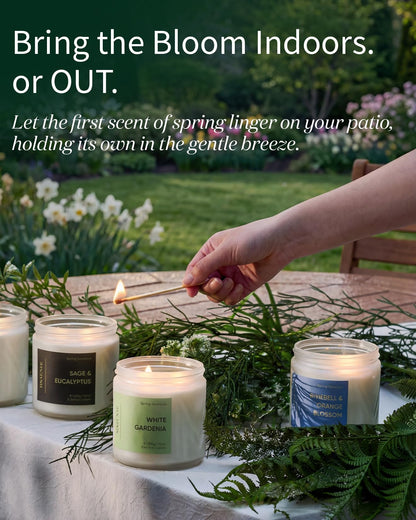 M&SENSE Lemongrass Verbena Scented Candles for Home, 11.6oz Organic Soy Wax, 70 Hours Long Lasting, Natural Non Toxic Clean Burn, 2 Wicks Herbal Smelling Aromatherapy Candle in Large Jar for Cleansing