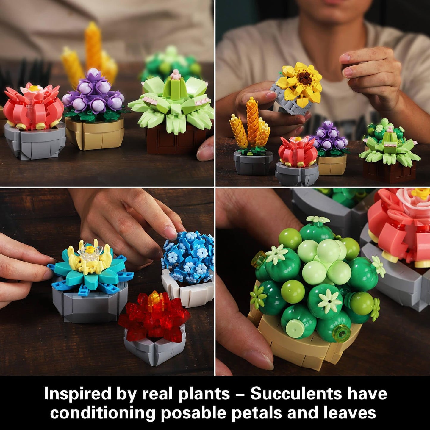 Succulents Set for Adults Building Sets, 12 Plants, Home Decor, Birthday Gifts for Women, Creative Housewarming Gifts, Botanical Collection, Flowers Succulents Artificial Plant Kit (1174 piece)