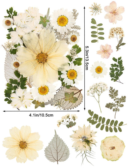 100pcs White and Light Yellow Dried Pressed Flowers Bulk, Natural Fall Pressed Dried Flowers with Tweezer for DIY Crafts Resin Mold Candles Cake Bridal Scrapbooking Supplies