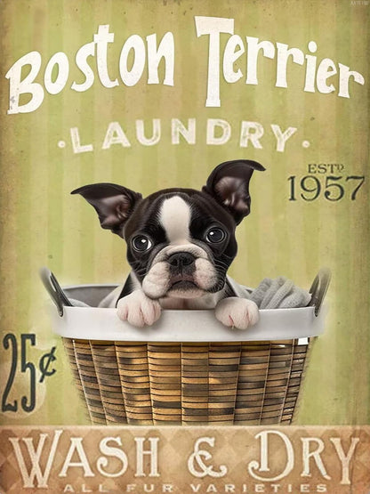 KAYEIUU Boston Terrier Diamond Art Kits for Adults, 5D Painting Art Kits Boston Terrier Laundry Diamond Art Painting Kit for Adult for Home Wall Decor Laundry Room Decor 12x16 Inch