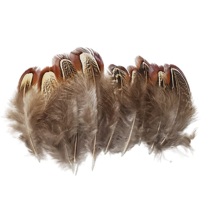 200 pcs Natural Pheasant Plumage Feathers 2-3 Inches Plumage Feathers for Sewing Crafts Clothing Decorating Accessories -Nature