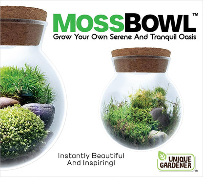Create Your Serene Moss Sanctuary with The Unique Gardener Moss Bowl Terrarium Kit with LED Light - Complete Terrarium Supplies, Indoor Plants for Stress Relief & Air Purification!