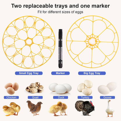 IIGLOWING 18 Eggs360Airflow Egg Incubators for Hatching Circulation System Incubator with Automatic Egg Turner
