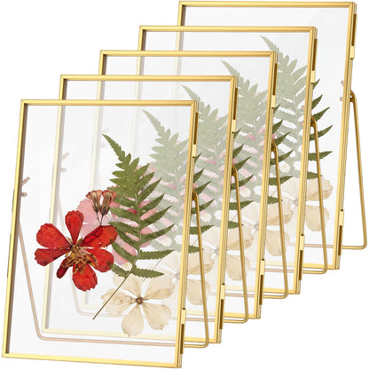 Vicenpal 5 Pack Glass Pressed Flower Frame Handmade, 5 x 7 floating Picture Frames for Pressed Flowers, Brass Double Glass for Tabletop Display, Home Office Plant Specimen, Photos(Gold)