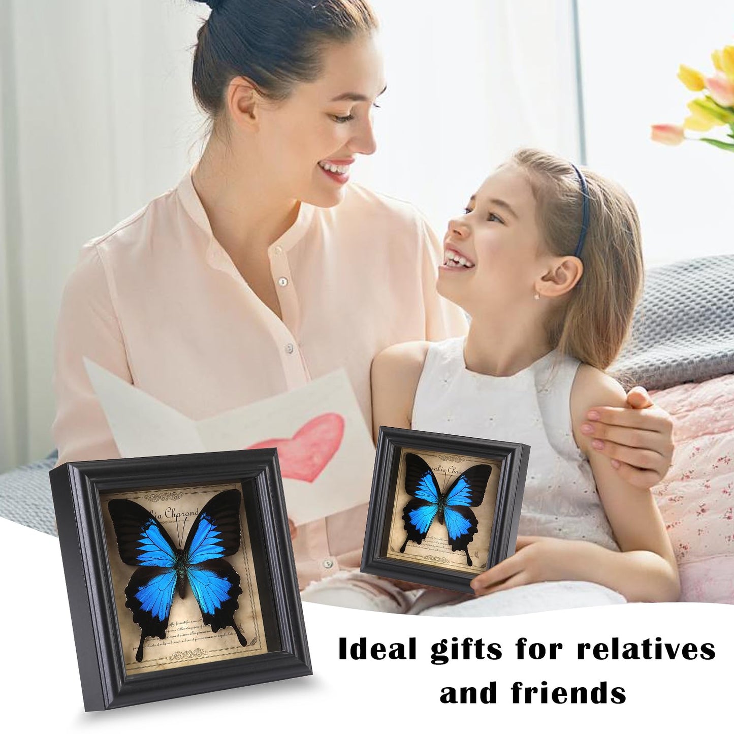 Butterfly Specimen Photo Frame,Real Butterfly Shadow Box. (Heavenly Swallow Butterfly)