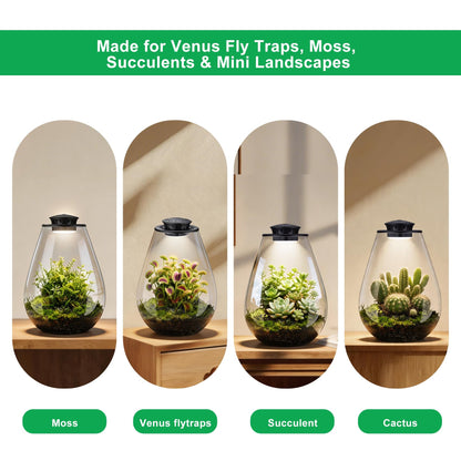 Xyingshine Glass Plant Terrarium with LED Grow Light, 7.8" Borosilicate Terrarium with Adjustable Ventilation & Timer, for Venus Fly Trap, Moss, Succulents, Mini Landscape, Desk Decor for Home Office