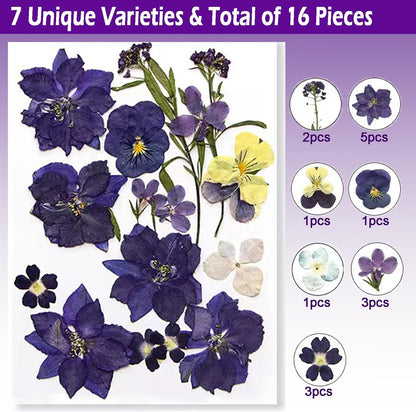 Flowers for Resin Model, Real Pressed Flowers Dry Leaves Bulk Natural Herbs Kit for Scrapbooking DIY Art Crafts, Epoxy