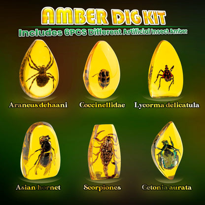 GobiDex Amber Dig Kit-Artificial Insect Resin, Excavate 6 Insects Specimens, STEM Geographic Educational Bugs Toys, Excavation Toys for Fun Bugs Party Favors, Science Kits for Kids Age 6-8 8-12