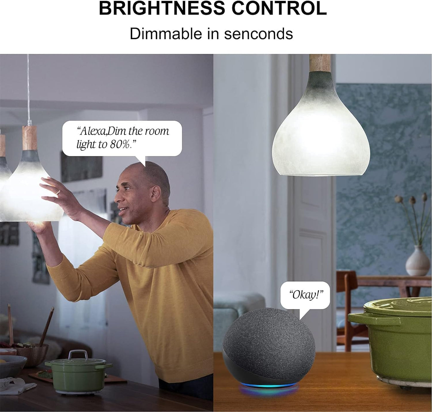 Sengled WiFi Light Bulb - Smart Bulbs That is Compatible with Google Assistant, A19 Daylight (5000K) - No Hub Required, 800LM 60W High CRI)60 Equivalent, 4 Count (Pack of 1)