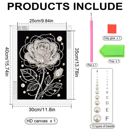 DoxQcs (Unframed DIY Pearl Diamond Art Painting Kit with Black Canvas 9.84X13.78in Shining Diamond Art Craft Resin Gem for Adults Home Wall Decor-Rose