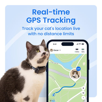 Tractive Smart Cat GPS Tracker | Real-Time Location & Wellness Monitoring for Cats 6.5 lbs+ | Territory & Location History | Up to 5-Day Battery | Breakaway Collar Included (Mint)