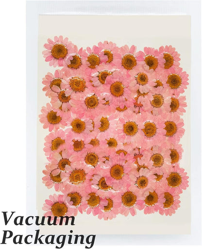 Dried Pressed Flowers, 60PCS Pink Natural Real Daisy for DIY Craft, Scrapbooking, Candle Making