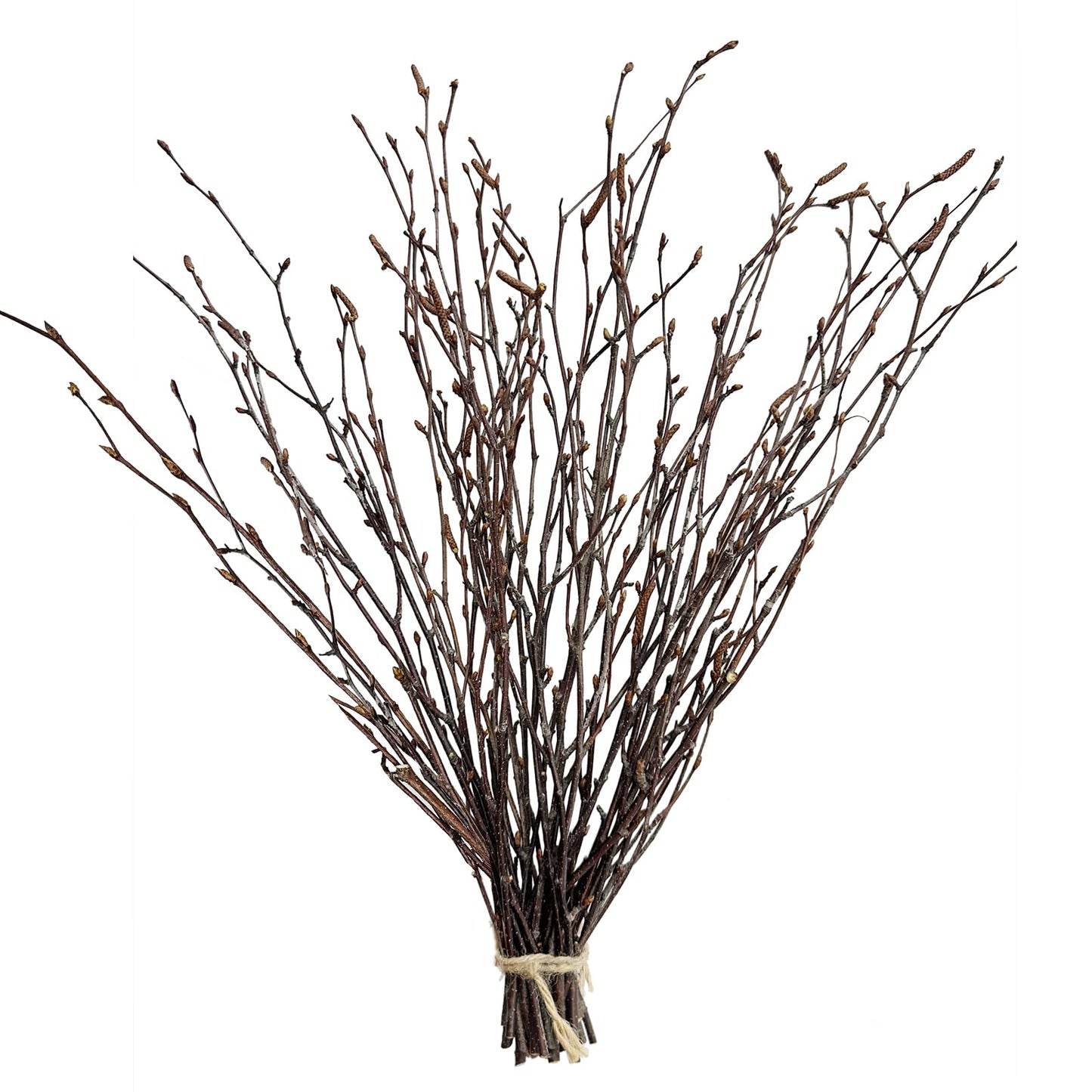 17 Inch Natural Birch Branches Dried Birch Twigs Wreath Making Supplies Dried Plants for Rustic Home Decor Easter Stems Vase Filler DIY Crafts Vases Tall Wreath Christmas Decoration Wedding (30Pcs)
