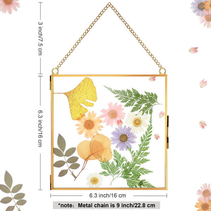Treela Pressed Flowers Glass Frames 6 x 6 Inch, Hanging Double Glass Picture Frame Clear Square Floating Frames with Chains Graduation Wedding Gift for Dried Plant Specimen Gallery(Gold,4 Pieces)