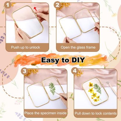 OGANAZI 4x6 Inch Double Glass Pressed Flower Frame - Golden Floating Frames for Dried Flowers, Art, Photos | Vintage Pressed Flower Frame Tabletop Display Holder for Home Plant Specimen (Oblong Shape)