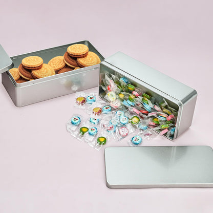 Gasuuo Metal Tin Box, 2 Pcs Empty Tin Boxes with Lids, 9.25"x4.33"x2.68" Small Rectangular Tinplate Containers for Storage, Gift Packaging, Home, Office and Workshop Organization, Silvery