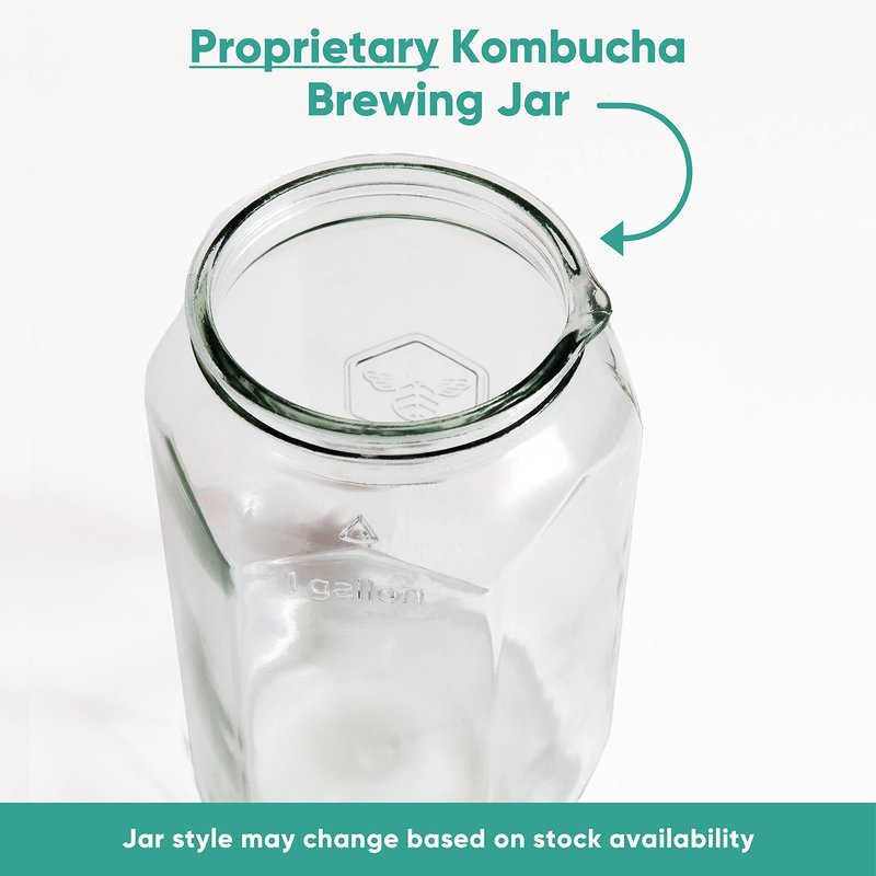 Craft A Brew Home Brewing Starter Kit Kombucha Tea Kit – Home Kombucha Kit – Fermentation Starter with Kombucha SCOBY – 1 Gallon