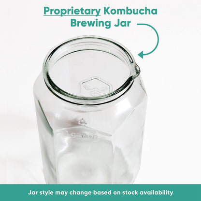 Craft A Brew Home Brewing Starter Kit Kombucha Tea Kit – Home Kombucha Kit – Fermentation Starter with Kombucha SCOBY – 1 Gallon