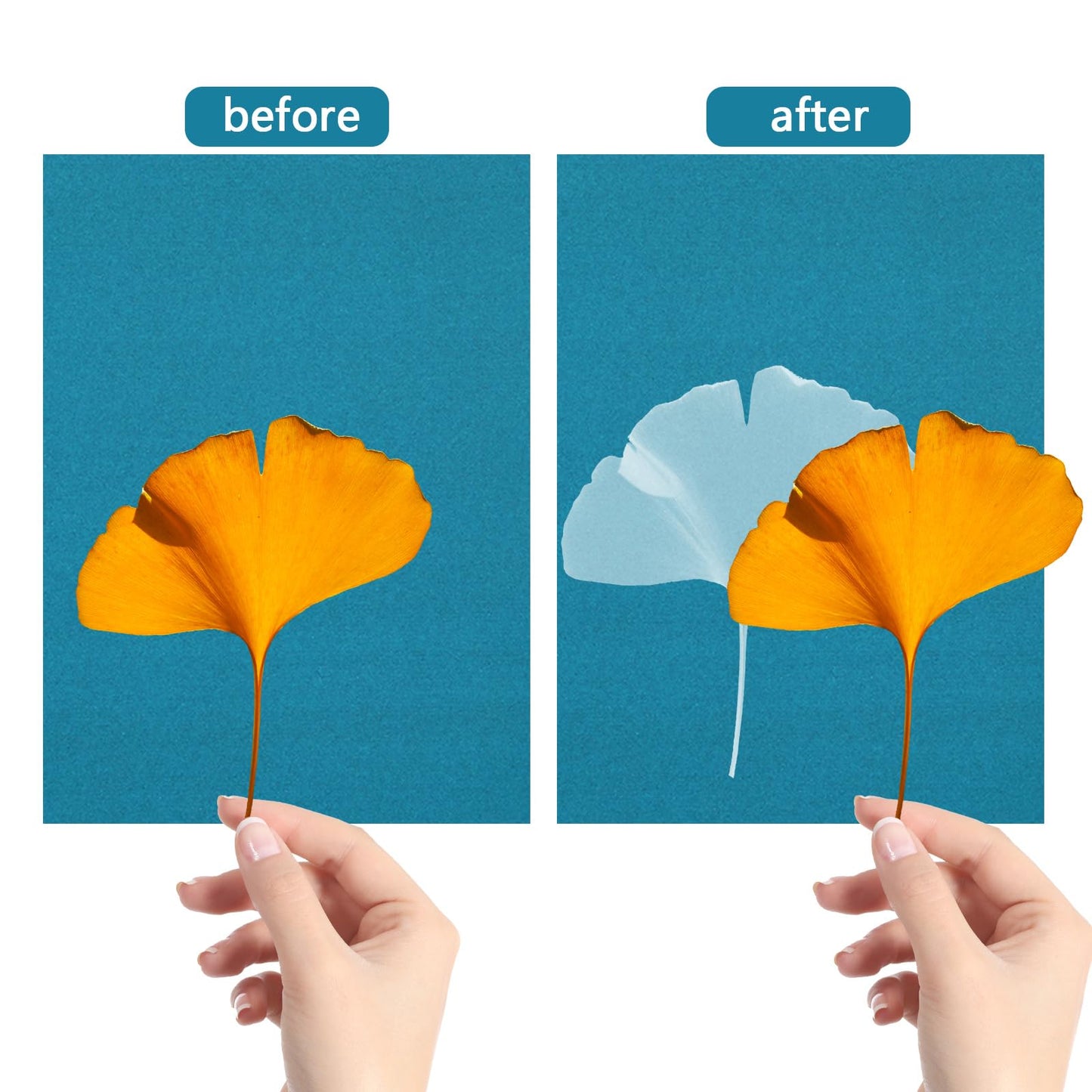 NOVWANG 60 Sheets Cyanotype Paper, 5.8 x 8.3 Inch High Sensitivity Sun Print Paper Cyanotype Kit Sun Art Paper DIY Arts with 1 Sheet Acrylic Panel for Arts Crafts DIY Project