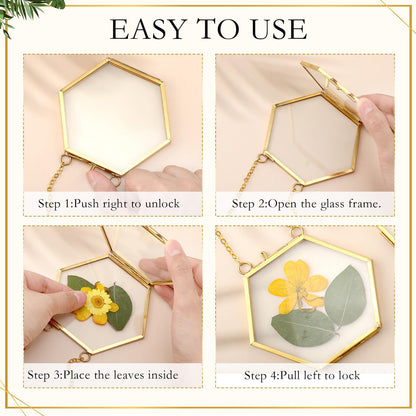Barydat 8 Set Double Glass Pressed Flower Frames Gifts Wall Hanging Photo Picture Frame with Bag Dried Flowers Chains Gift for Artwork Frame Home Decor Plant Photo Display, 8 Shapes(Gold)