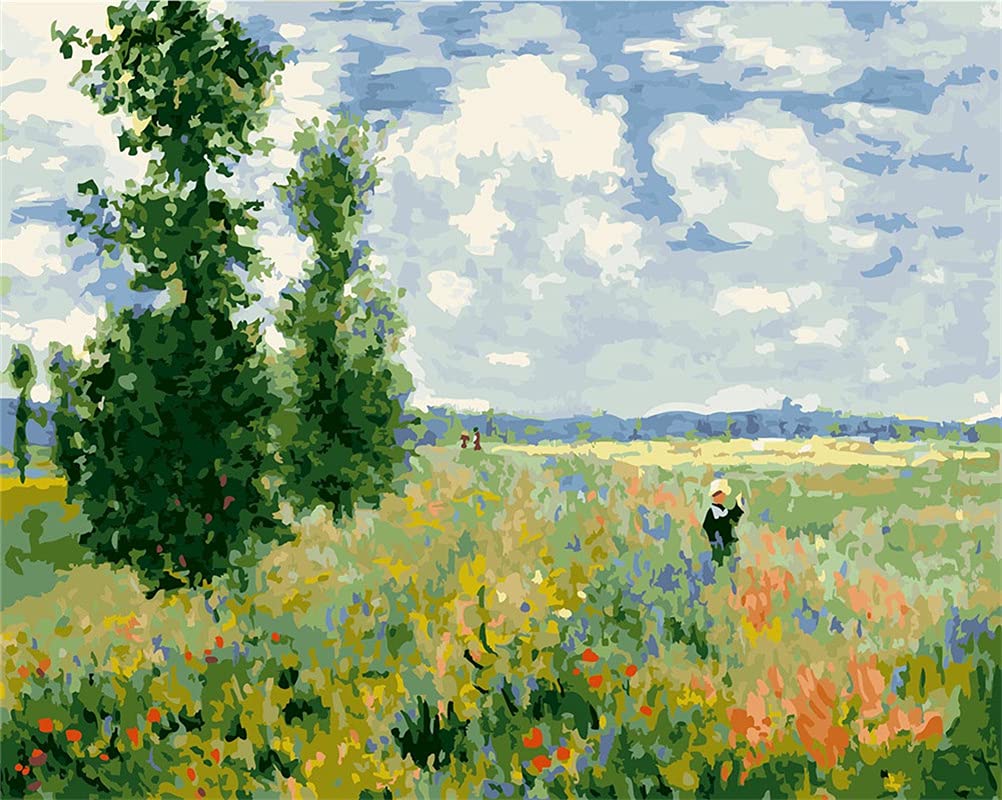 Meecaa Paint by Numbers Poppy Landscape Kit for Adults Beginner DIY Oil Painting 16x20 inch (Poppy Field, No Frame)