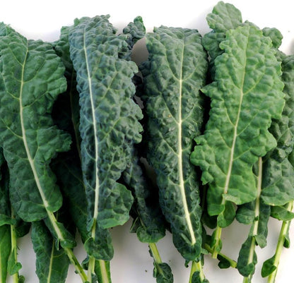 Seed Kingdom (1 Oz Kale Lacinato (AKA Dinosaur or Tuscan) Great Heirloom Vegetable Seeds by Seeds)