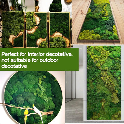 Preserved Reindeer Craft Moss-17.6oz Natural Green DIY Kit Gardenning Art Wall Florist Moss Terrariums Gardenning Decor Landscape Garden Decor(Leaf Green 17.6 OZ)