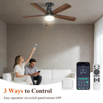 Minthouz Ceiling Fans with Lights, 42 inch Ceiling Fan with Light with APP/Remote Control, 6000K Dimmable LED, Modern Flush Mount Ceiling Fan for Indoor Bedroom Living Room, DC Reversible, Black