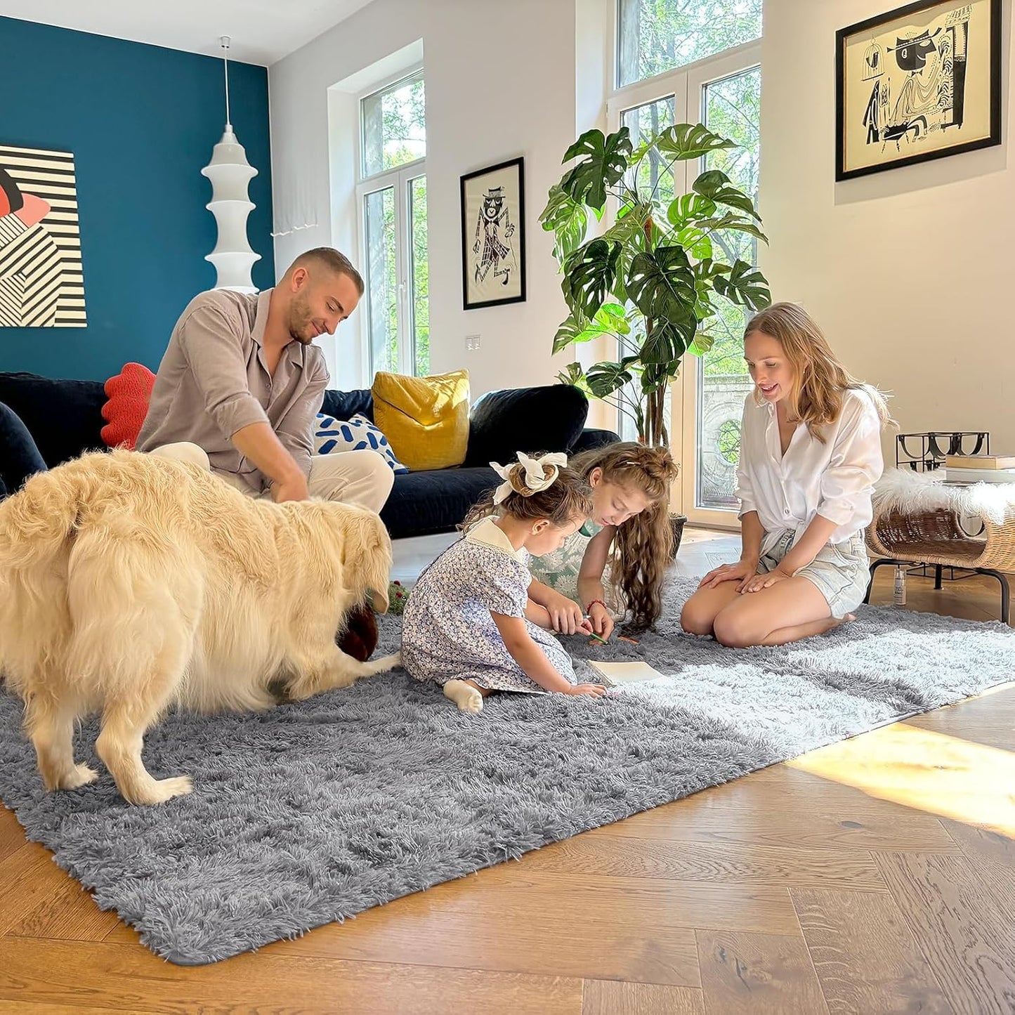 OLANLY Large Area Rug - Soft Fluffy Shaggy Carpet for Living Room & Bedroom | Machine Washable, Light Grey