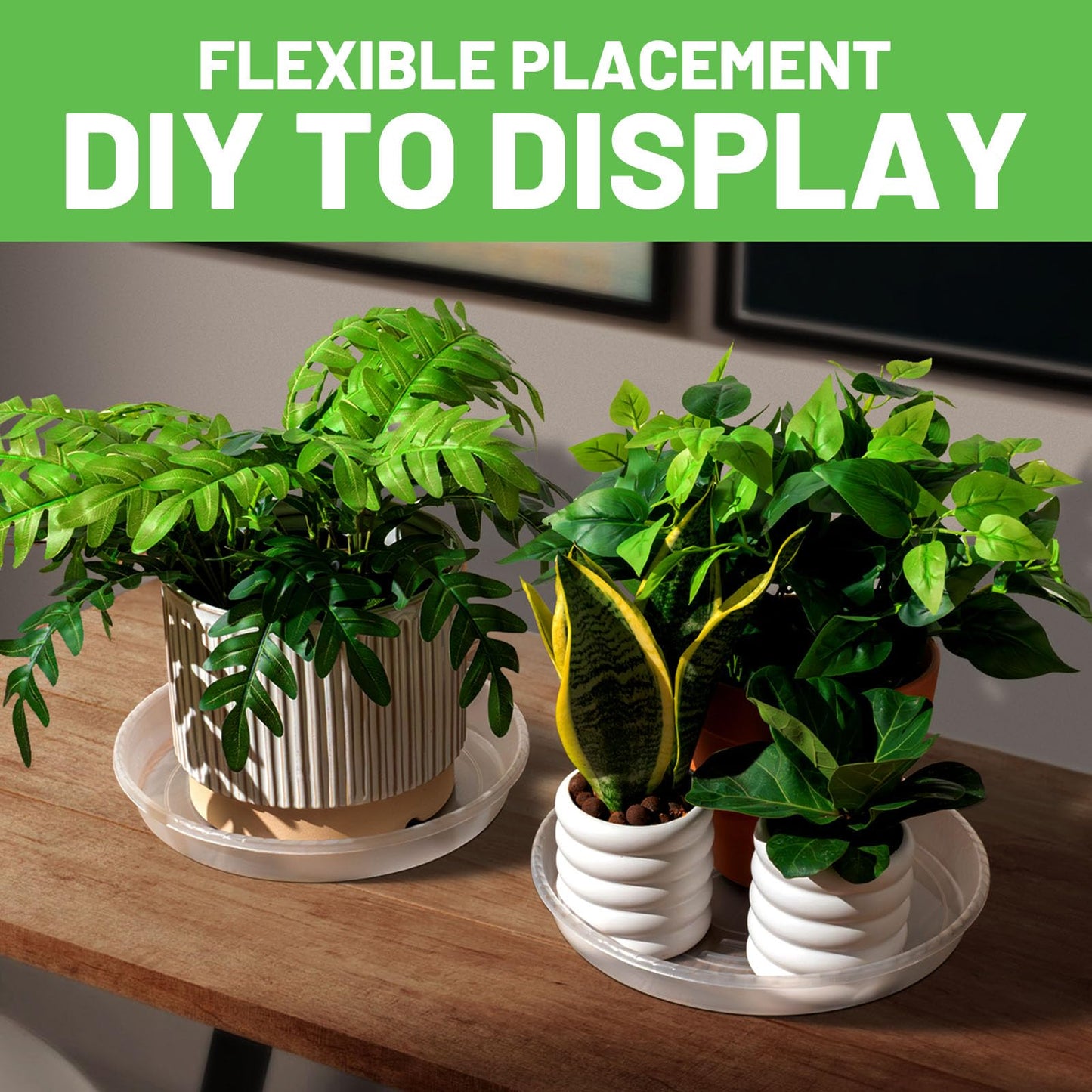 MUDEELA 6 Pack of 6 Inches Plant Saucers for Indoor, Durable Plastic Round Plant Tray Plant Dish Pant Plate to Catch Water for Flower and Plant Pot, Thicker, Stronger, Deeper, Clear