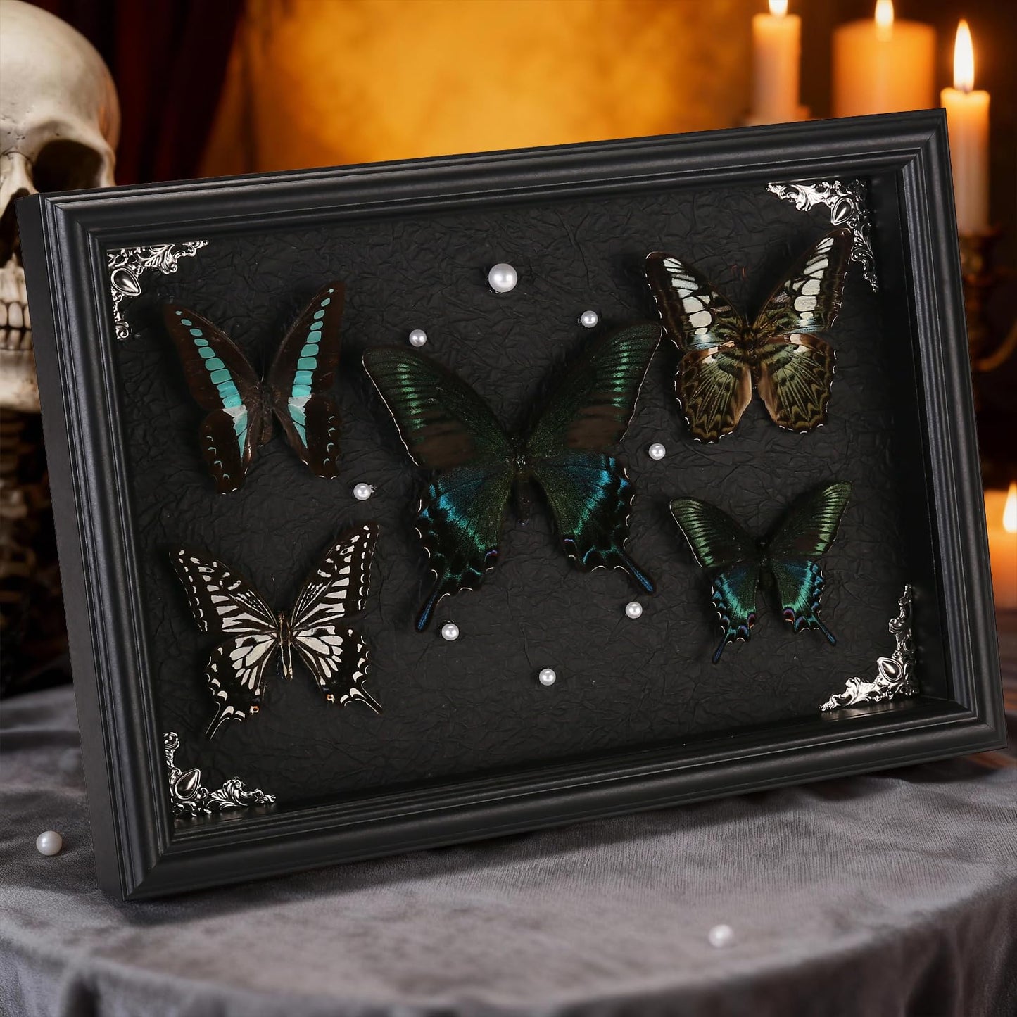 Real Framed Butterfly Taxidermy Collection - Set of 5 in Shadow Box Display - Natural Wood Frame with Museum Quality Preservation - for Home Decor, Wall Art, Gift