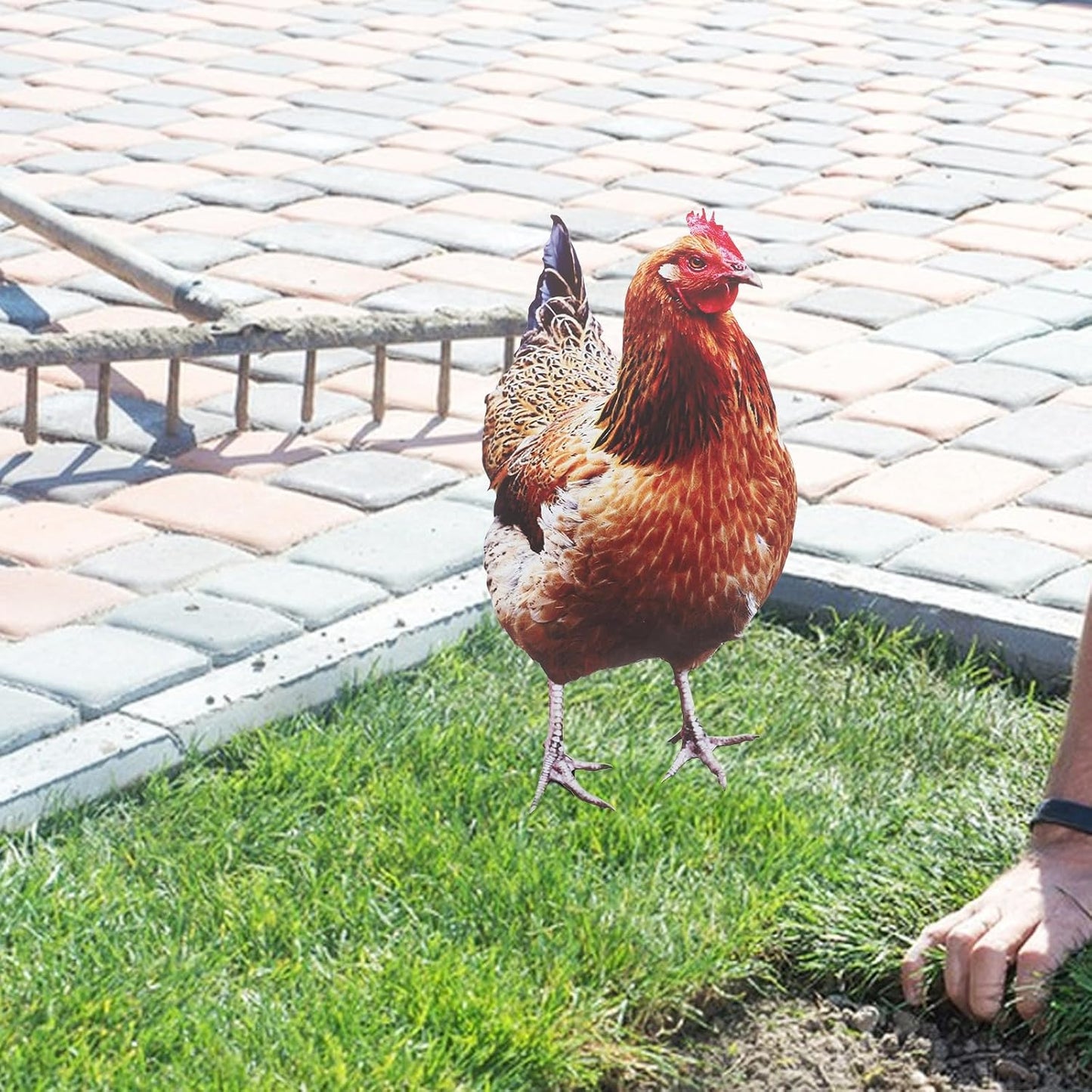 2Pcs Happyyami Acrylic Chicken Yard Art - Decorative Hen Lawn Stakes for Garden Decoration, Outdoor Decor for Patio