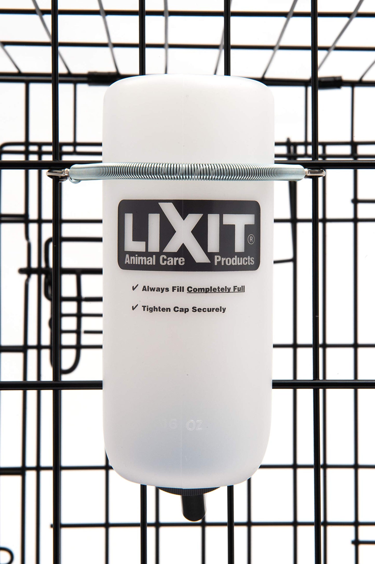 Lixit Wide Mouth Water Bottles for Large and Small Dogs (16oz Small Dog, White)