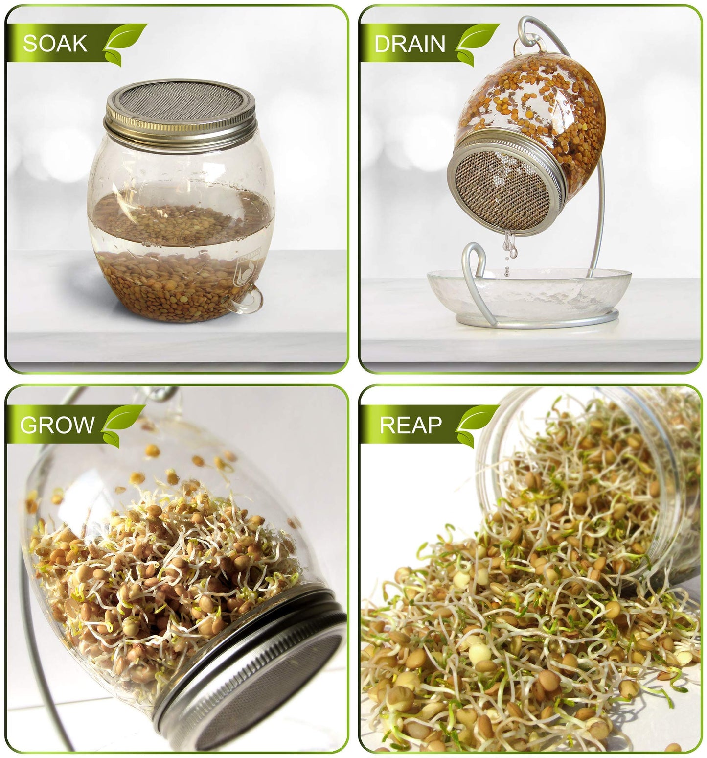 ALCEDIA Premium Sprouting Jar Kit - Unique 30 oz Wide Mouth Sprouting Jar, Stand, Tray and 316 Stainless Screen Lid | Decorative Indoor Seed Sprouter and Germinator (1 Kit)