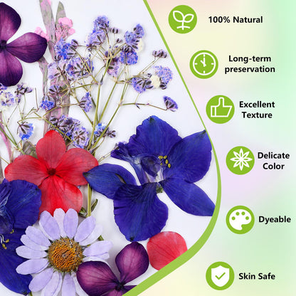 MTLEE 24 Pack Dried Pressed Flower Candle Painting Kit 6 White Pillar 6 Dried Pressed Flower 10 Tealight Candle Tweezer Brush for Galentines Girls Night Birthday Wedding Party DIY Crafts(4 Inch)