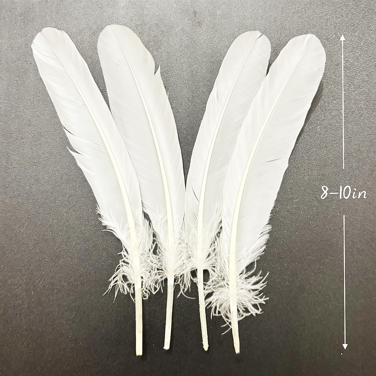White Feathers 8-10inch,50PCS 21-25cm Bulk Feather for Crafts,Natural Long Goose Feather,for Wedding Dress and Party Costumes Decoration,DIY Fabricating Handicraft Article