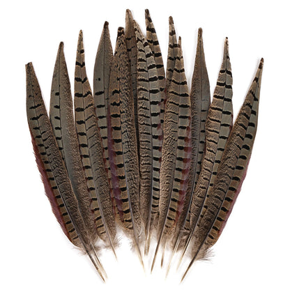 MAOFENG 12pcs Natural Feathers Male Ringneck Pheasant Tails Feathers 10-12inch 25-30cm for Crafts Wedding Party Performance Home DIY Decoration,Male Pheasant Feathers