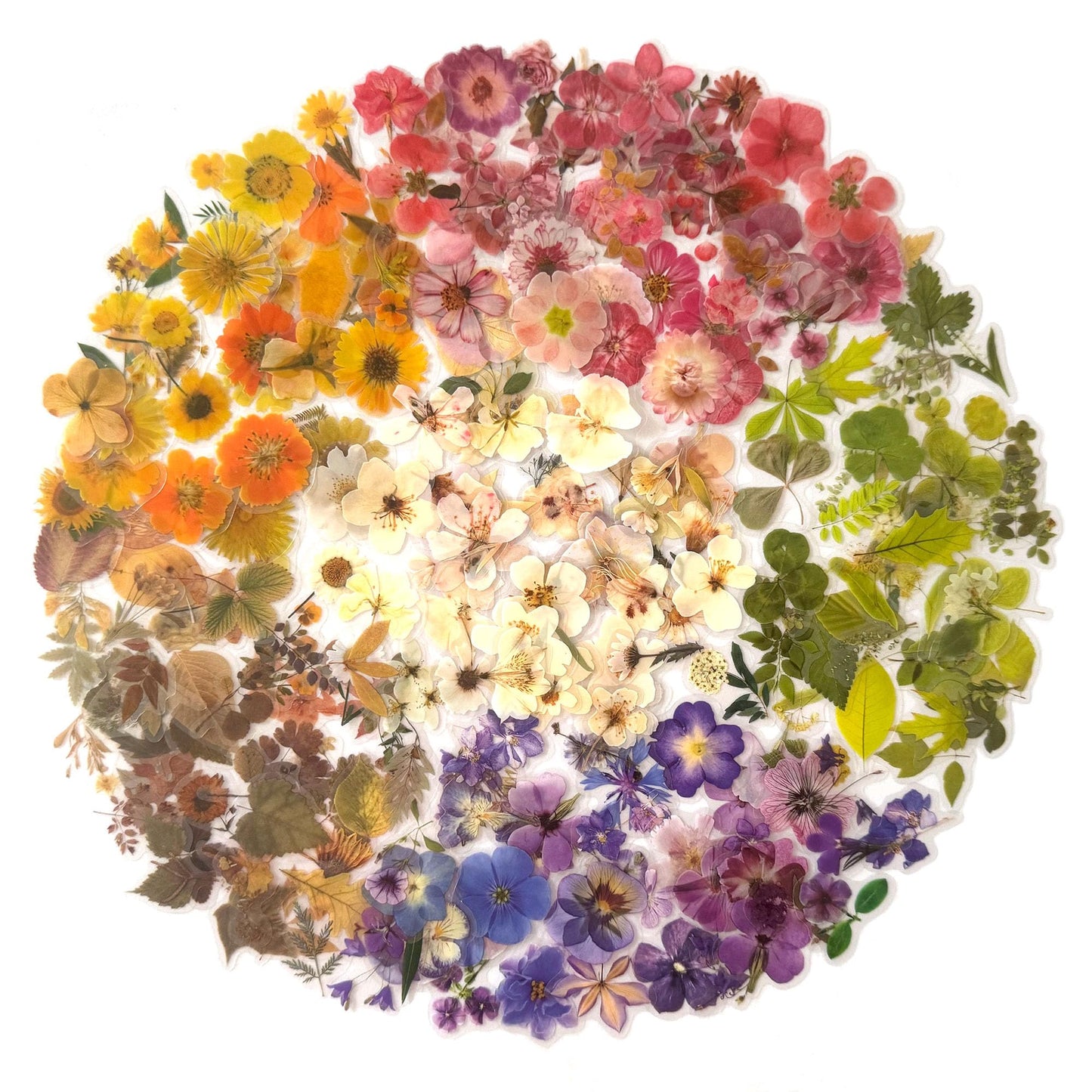 Maxleaf Pressed Flower Stickers Set, 270PCS Dried Flowers Waterproof Stickers Decals Floral Botanical Journaling Stickers for Scrapbook Supplies Junk Journal Bullet Journals Planner Laptops Art Crafts